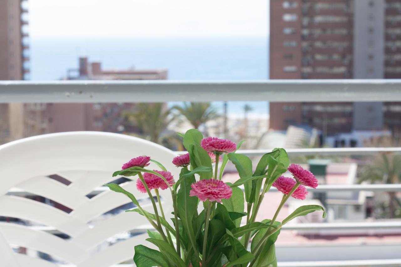 Apartamentos Niza Benidorm Kültér fotó